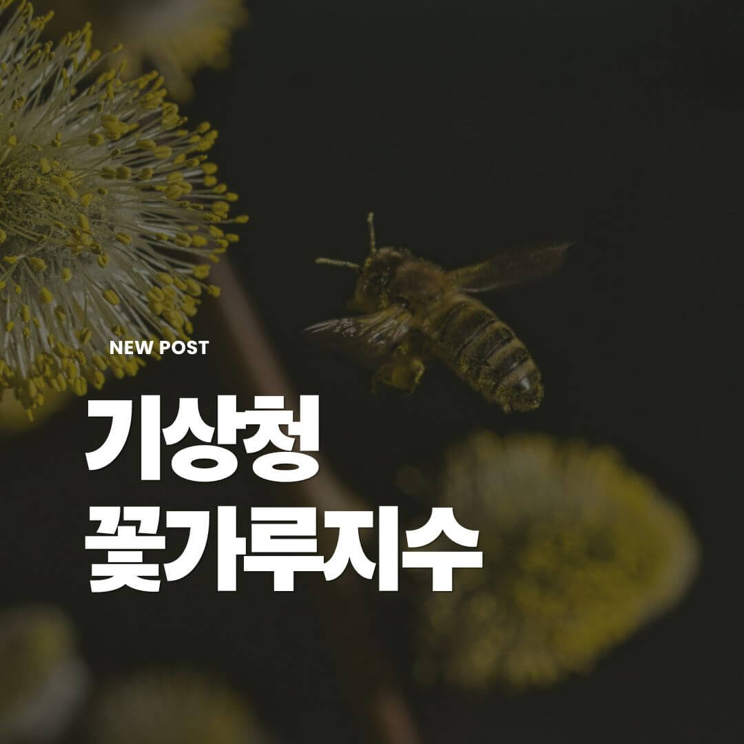 기상청-꽃가루지수